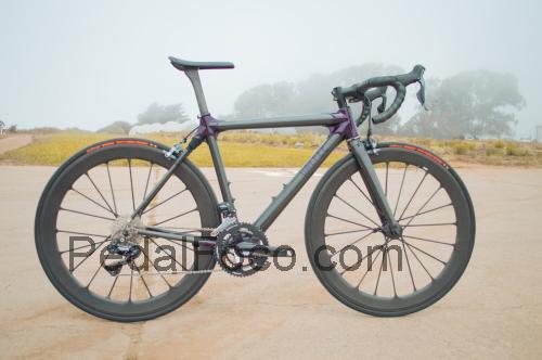 Calfee Manta ficha tecnica
